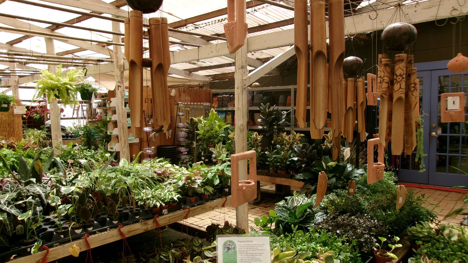 Greenhouse retail tables full of foliage plants, brightly lit, wind chimes hanging overhead